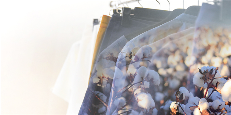 「有機棉」來自於對環境友善的初衷